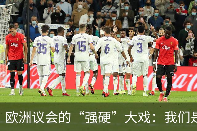 欧洲议会的“强硬”大戏：我们是对手还是朋友？
